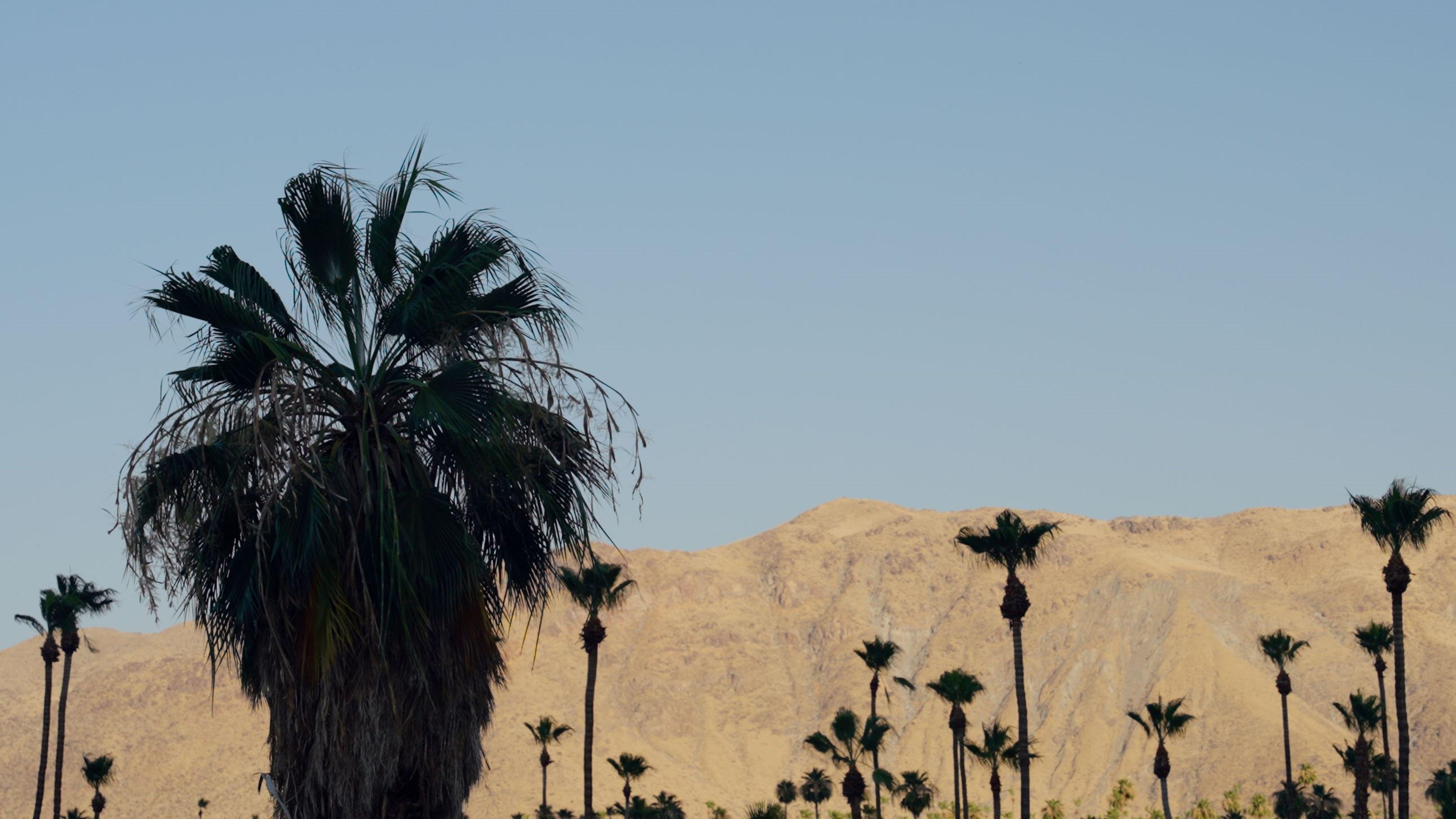 Hotel Royal Sun Palm Springs Extérieur photo